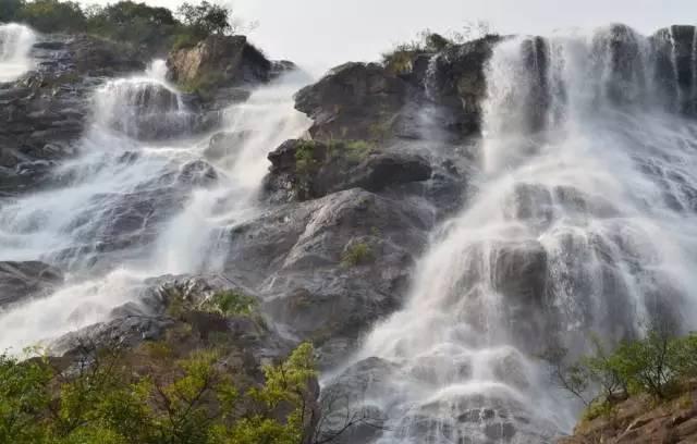春雨直播app
