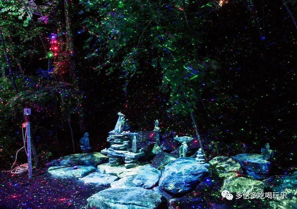大学生心理现状知识星球平台,深入解读大学生心理现状领域,提供专业知识分享
